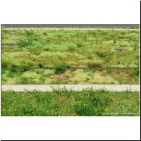 2021-07-19 -T9- Depotzufahrt 04.jpg